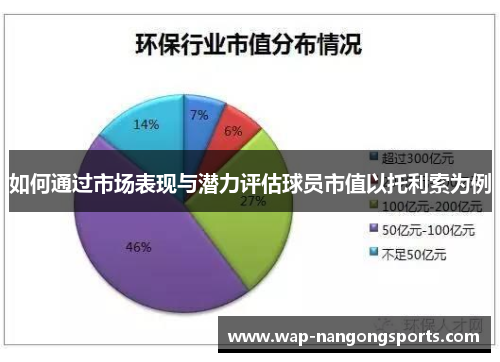 如何通过市场表现与潜力评估球员市值以托利索为例