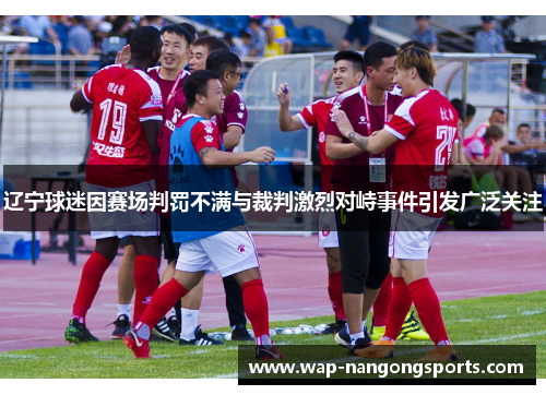 辽宁球迷因赛场判罚不满与裁判激烈对峙事件引发广泛关注 辽宁球迷因赛场判罚不满与裁判激烈对峙事件引发广泛关注