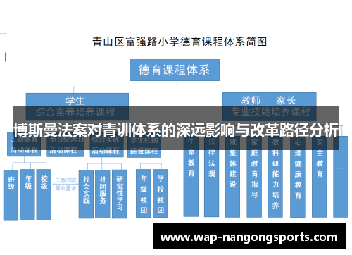 博斯曼法案对青训体系的深远影响与改革路径分析 博斯曼法案对青训体系的深远影响与改革路径分析