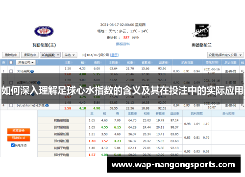 如何深入理解足球心水指数的含义及其在投注中的实际应用