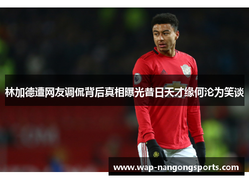 林加德遭网友调侃背后真相曝光昔日天才缘何沦为笑谈 林加德遭网友调侃背后真相曝光昔日天才缘何沦为笑谈
